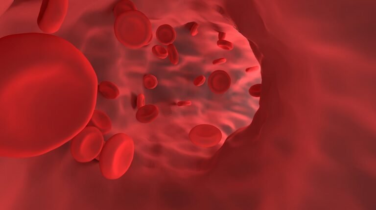 red blood cell, vessel, hemoglobin-4807218.jpg